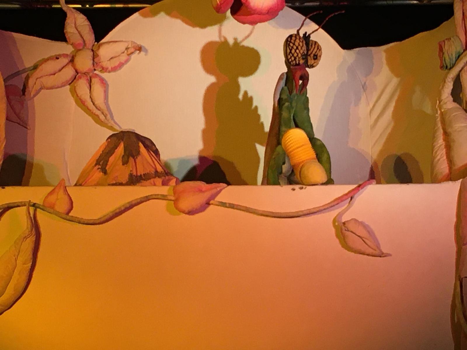 ¿Quién soy yo? De oruga a mariposa en Teatro San Francisco, León