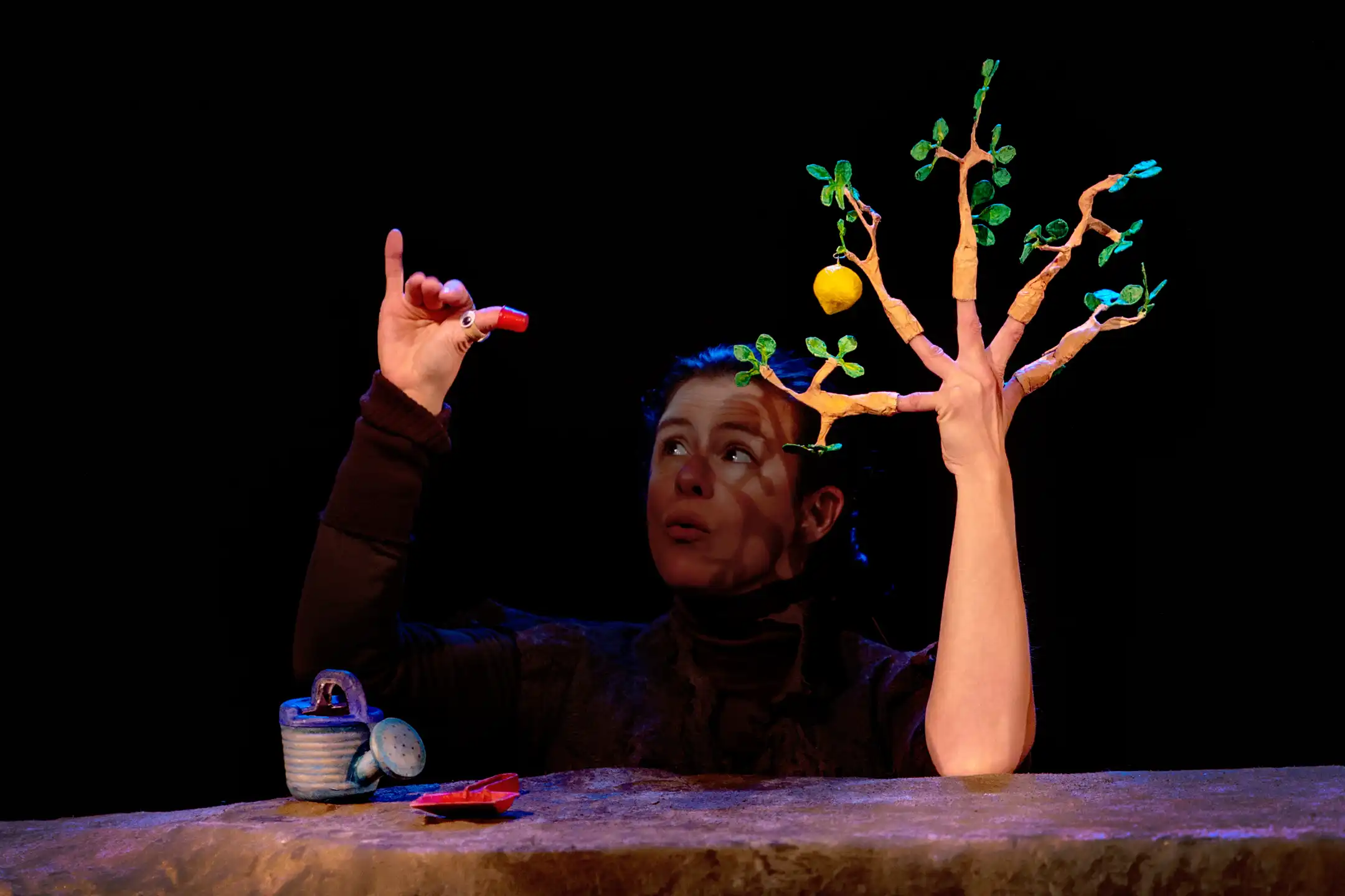 La semilla en Teatro San Francisco, León