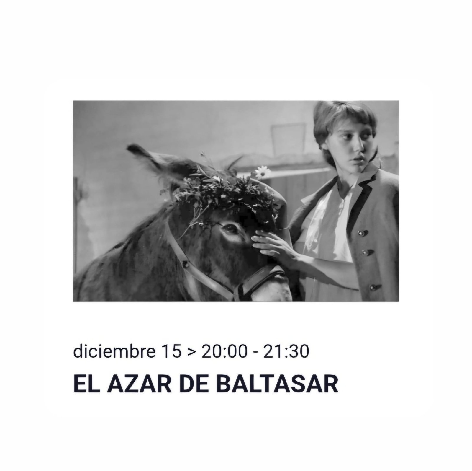 Al azar, Baltasar en Teatro San Francisco, León